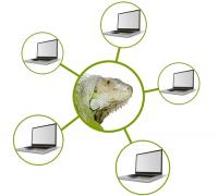 seo multi