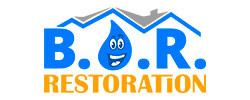 Best Option Restoration Franchise Business Opportunity