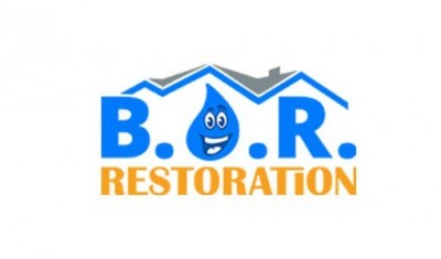 best option restoration franchise business opportunity