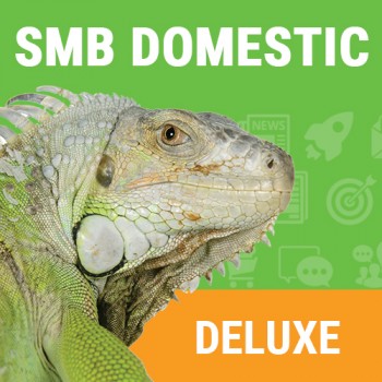 Domestic SMB Deluxe