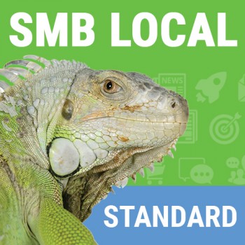 Local SMB Standard
