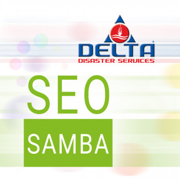 Delta Restoration Services | Managed SEO