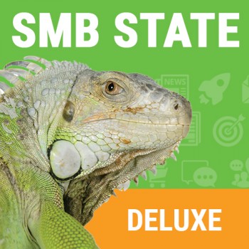 State SMB Deluxe