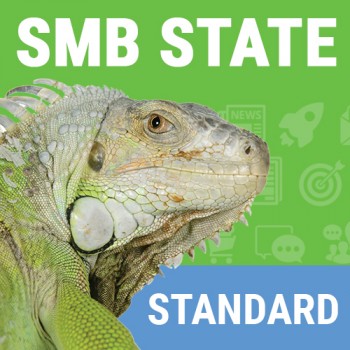 State SMB Standard