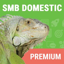 Domestic SMB Premium