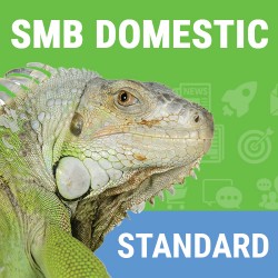 Domestic SMB Standard