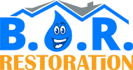 Online Form for B.O.R. Franchisee Owner Update